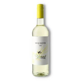 CAMPUS BOR IRSAI OLIVÉR DRS 750ML