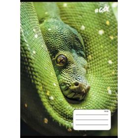   COOL BY VICTORIA FÜZET A/5 VONALAS 1.OSZTÁLYOS ÁLLATOS ISVFC68 1DB