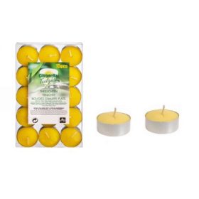 TEAMÉCSES CITRONELLA 15DB